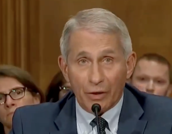 Congress Let Fauci Get Away with His Crimes, Florida Said Not So Fast