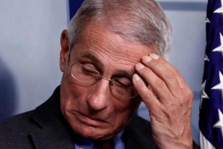 Declassified Fauci Files Show He Shaped the Intelligence He Hid Behind