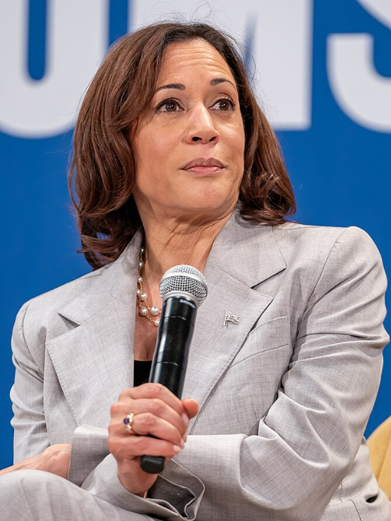 Kamala Harris Drops $8.15 Million on Malibu Mansion in Neighborhood That's 0.2% Black