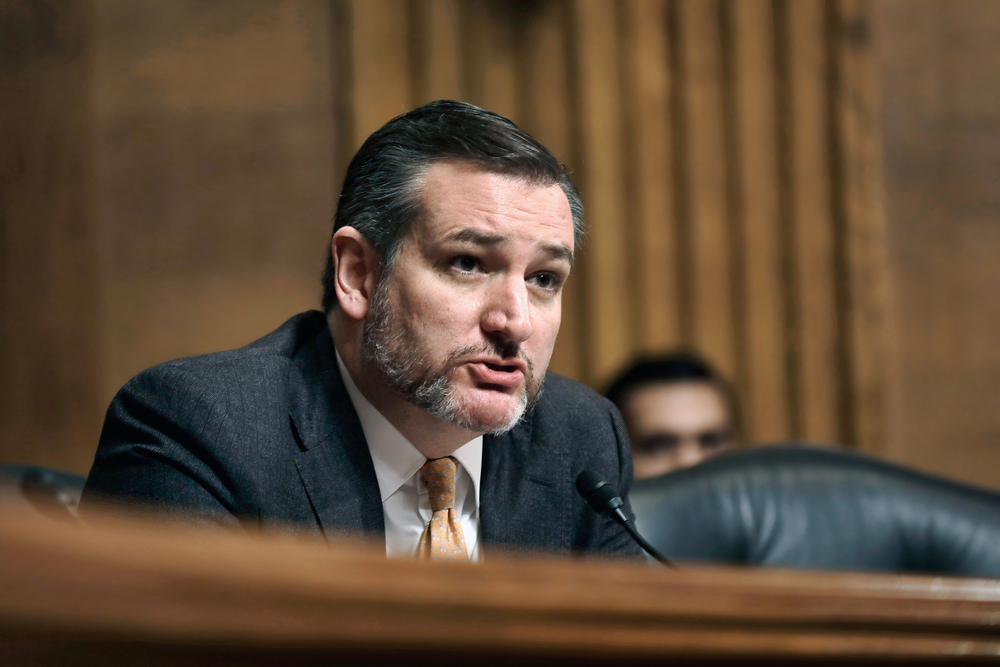 Ted Cruz Says He's Focused on the Midterms, Then Spends Every Interview Talking About 2028